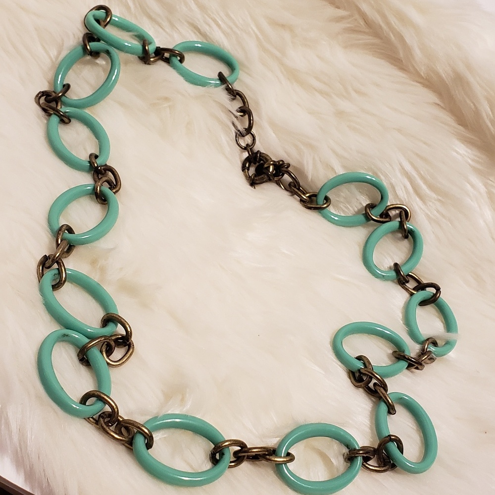 J Crew Metal & Lucite Link Necklace.